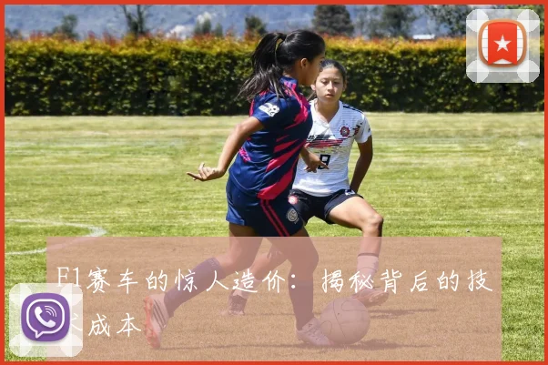 F1赛车的惊人造价：揭秘背后的技术成本