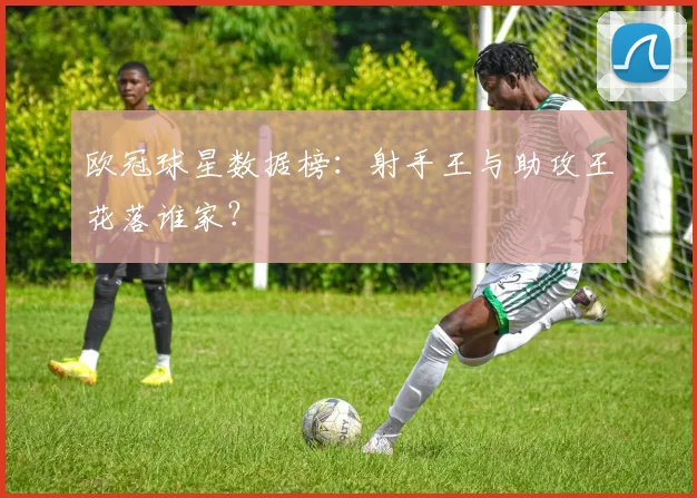 欧冠球星数据榜：射手王与助攻王花落谁家？