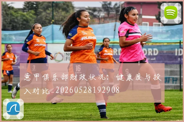 意甲俱乐部财政状况：健康度与投入对比_20260528192908